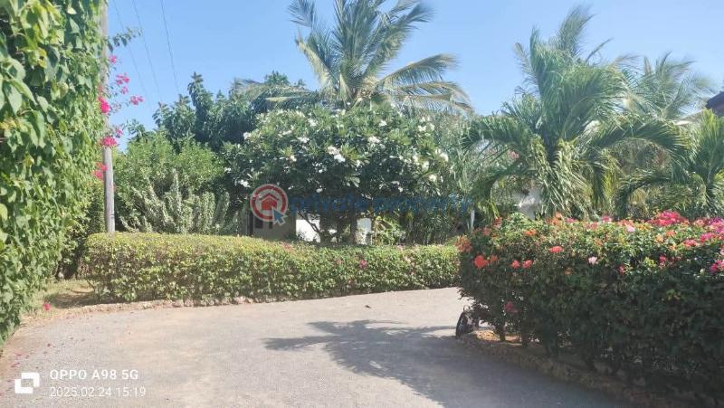 3 bedroom House For Sale Malindi,garoda Area Malindi Malindi Town Kilifi - 2