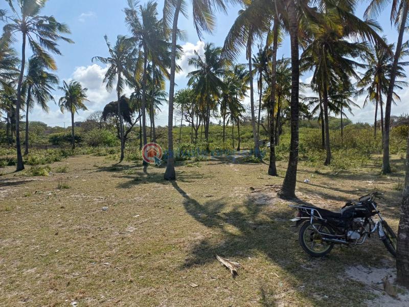 Land For Sale Near Sun N Sand Resort Kikambala Mtwapa Kilifi - 5