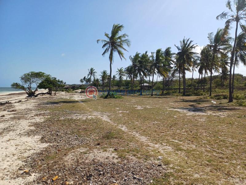 Land For Sale Near Sun N Sand Resort Kikambala Mtwapa Kilifi - 7