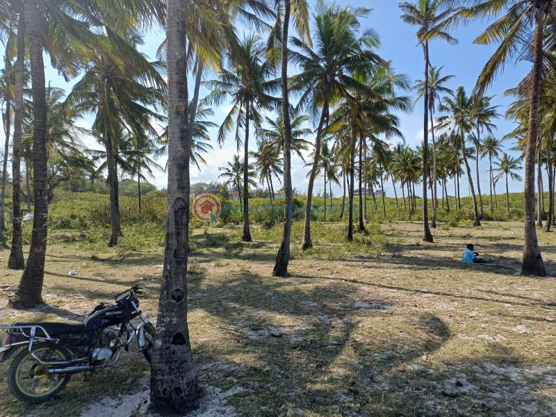 Land For Sale Near Sun N Sand Resort Kikambala Mtwapa Kilifi - 4