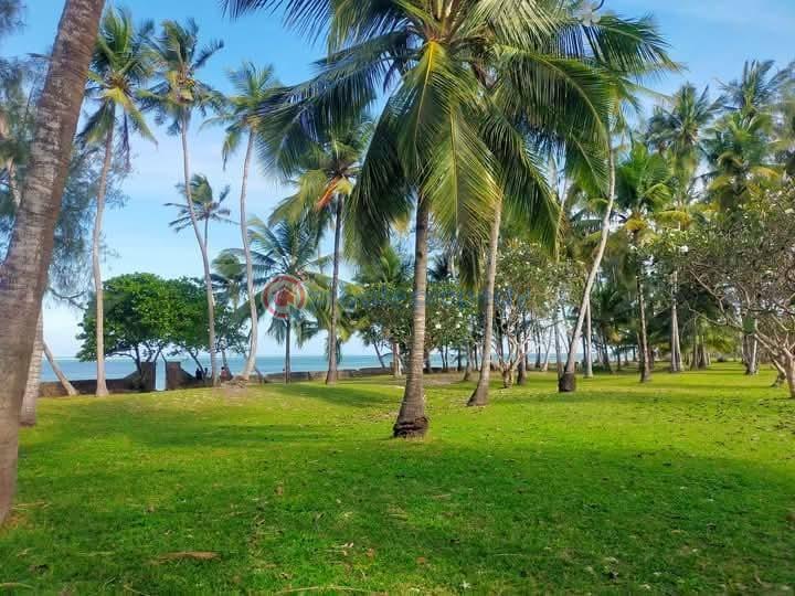 Land For Sale Kikambala,sun N Sand Kikambala Mtwapa Kilifi - 9