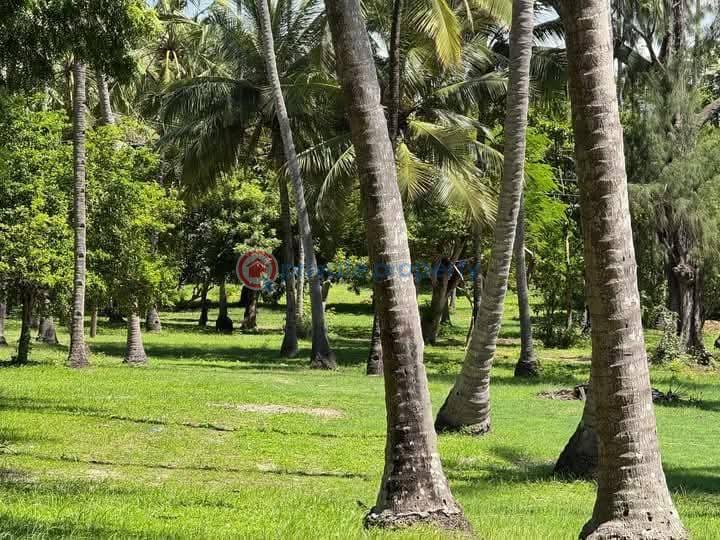 Land For Sale Kikambala,sun N Sand Kikambala Mtwapa Kilifi - 3