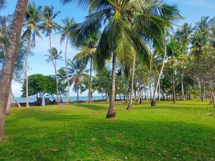 Land For Sale Kikambala,sun N Sand Kikambala Mtwapa Kilifi - 4