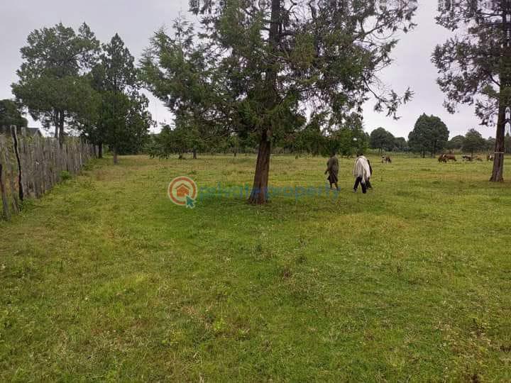 Land For Sale Old Muthaiga Nairobi - 0