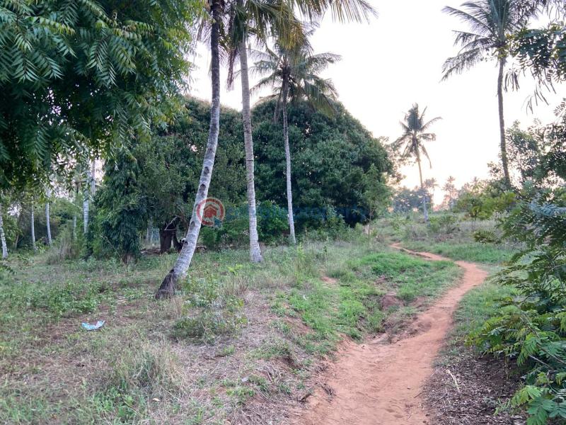Land For Sale Budoi Kikambala Mtwapa Kilifi - 5