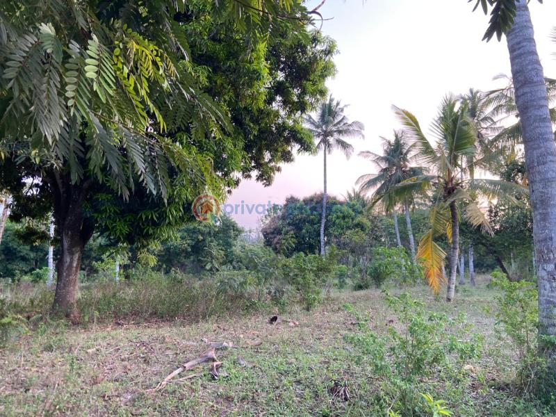 Land For Sale Budoi Kikambala Mtwapa Kilifi - 0
