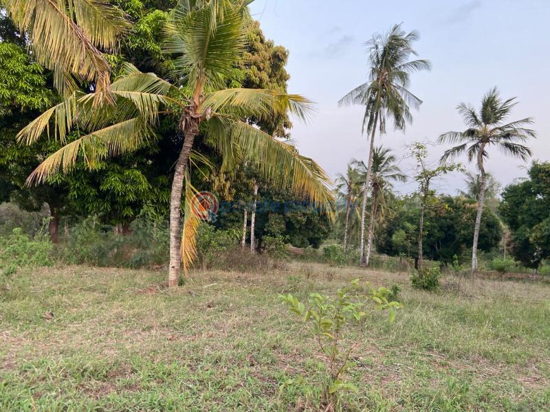 Land For Sale Budoi Kikambala Mtwapa Kilifi - 6