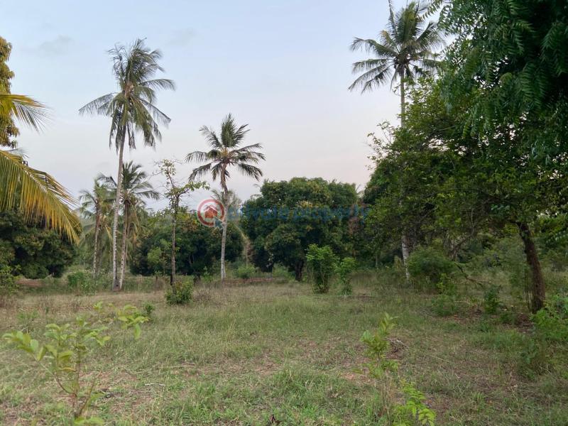 Land For Sale Budoi Kikambala Mtwapa Kilifi - 4