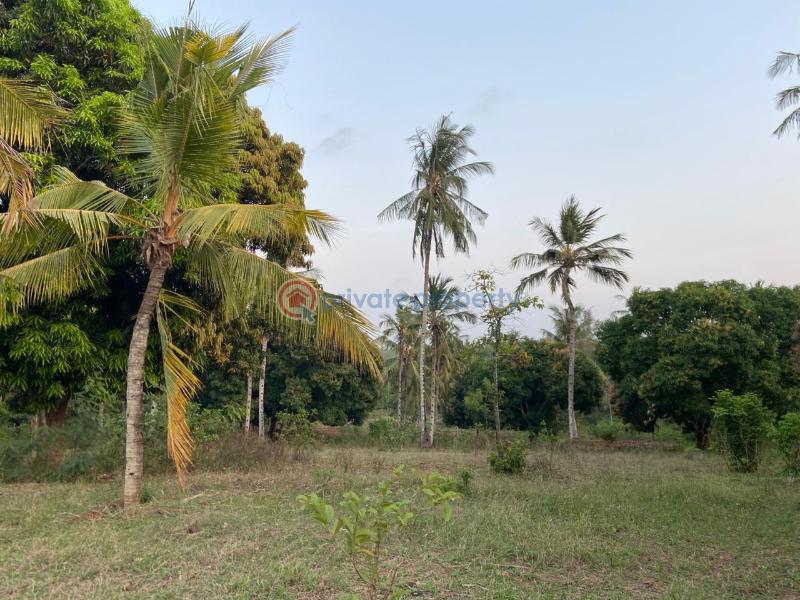 Land For Sale Budoi Kikambala Mtwapa Kilifi - 2