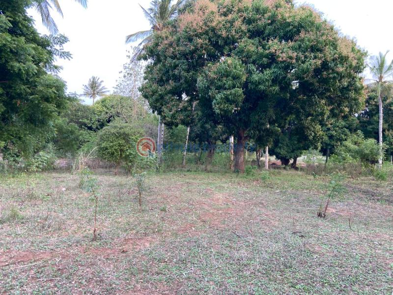 Land For Sale Budoi Kikambala Mtwapa Kilifi - 8