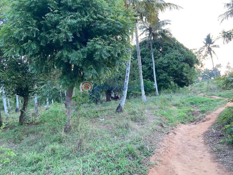 Land For Sale Budoi Kikambala Mtwapa Kilifi - 1