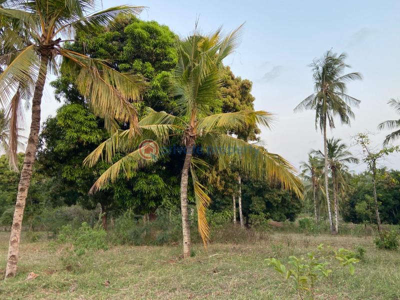 Land For Sale Budoi Kikambala Mtwapa Kilifi - 3
