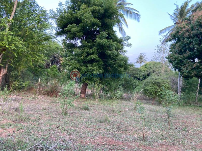 Land For Sale Budoi Kikambala Mtwapa Kilifi - 7
