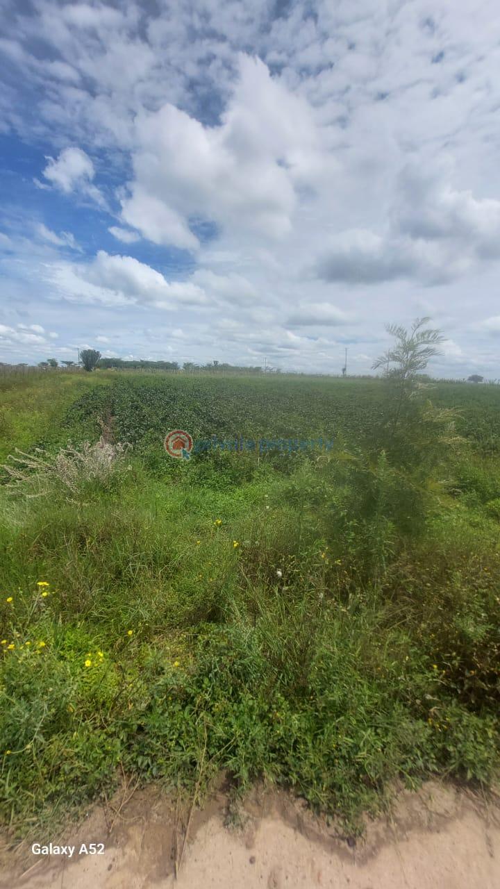 Commercial Land For Rent Mukima, Nanyuki Nanyuki Laikipia - 2