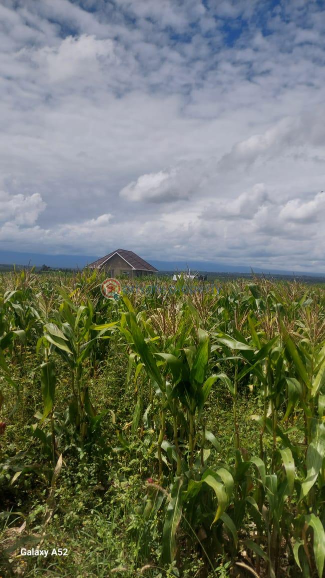 Commercial Land For Rent Mukima, Nanyuki Nanyuki Laikipia - 0