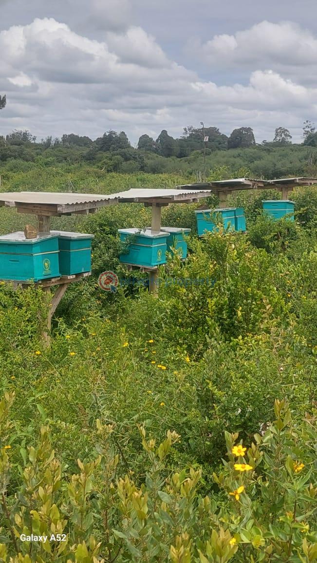 Commercial Land For Rent Mukima, Nanyuki Nanyuki Laikipia - 4