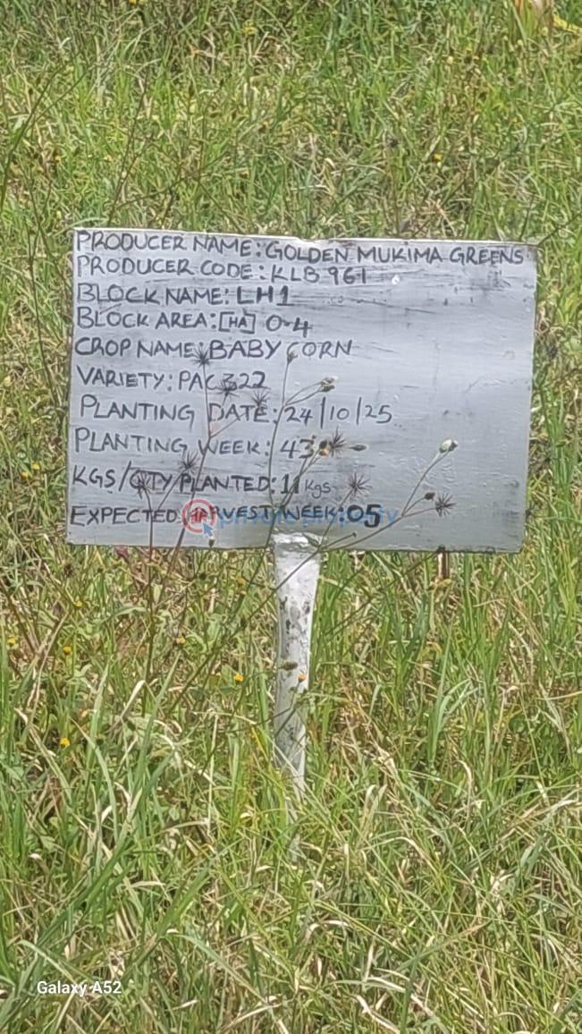 Commercial Land For Rent Mukima, Nanyuki Nanyuki Laikipia - 1