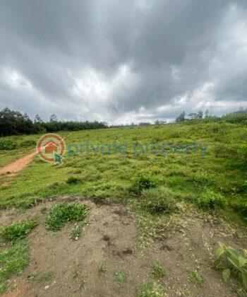 Land For Rent Ndeiya Kikuyu Kiambu - 1