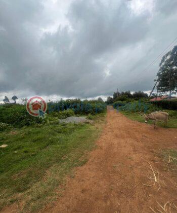 Land For Rent Ndeiya Kikuyu Kiambu - 2