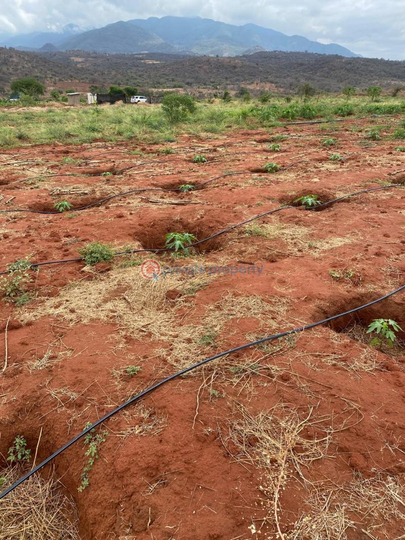 Land For Sale Mbeere North , Embu Karingani Tharaka-Nithi - 8