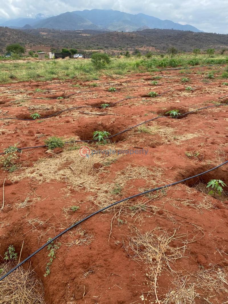 Land For Sale Mbeere North , Embu Kerugoya Kirinyaga - 6