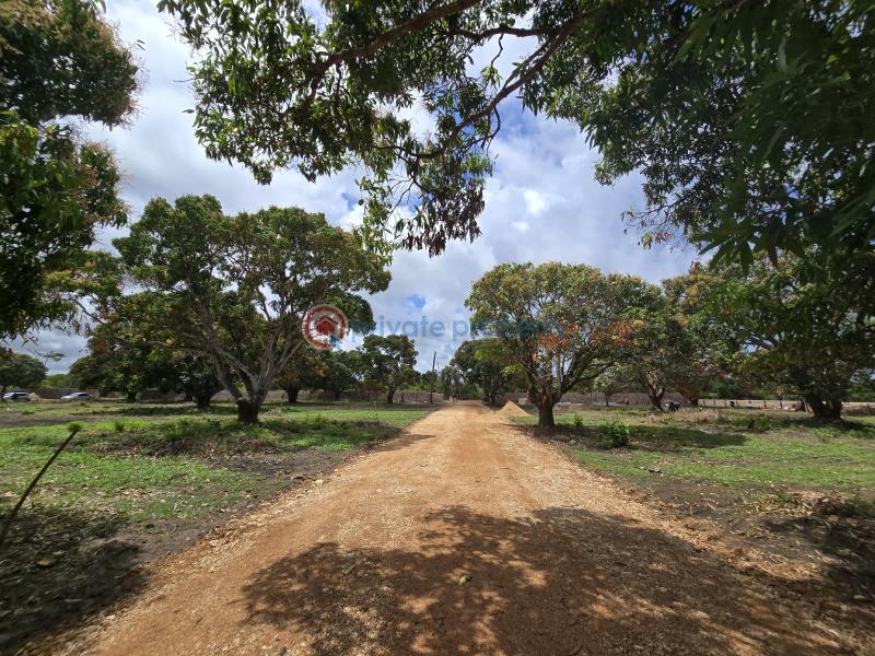 Land For Sale Along Mombasa Malindi Highway Kikambala Mtwapa Kilifi - 10