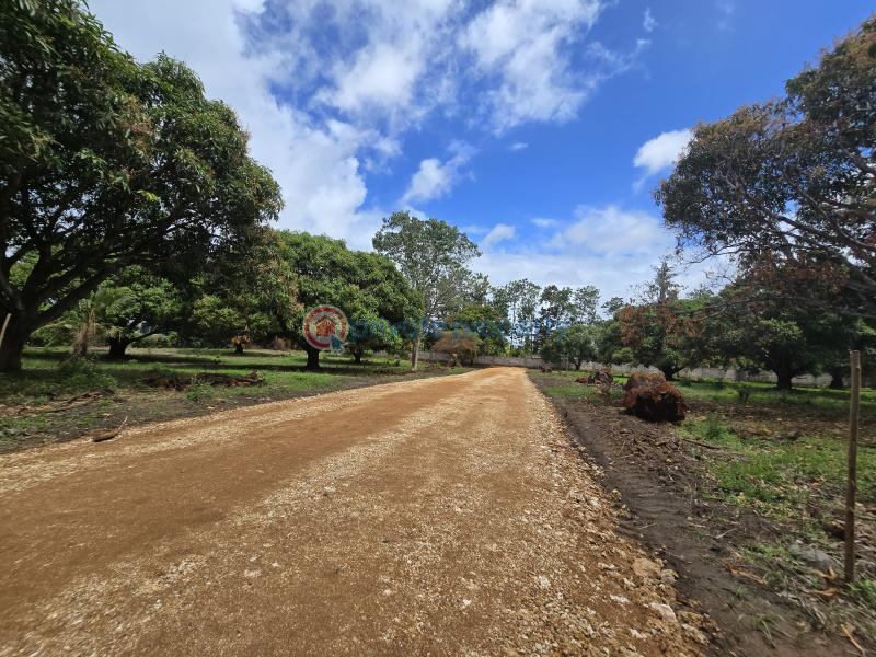 Land For Sale Along Mombasa Malindi Highway Kikambala Mtwapa Kilifi - 2