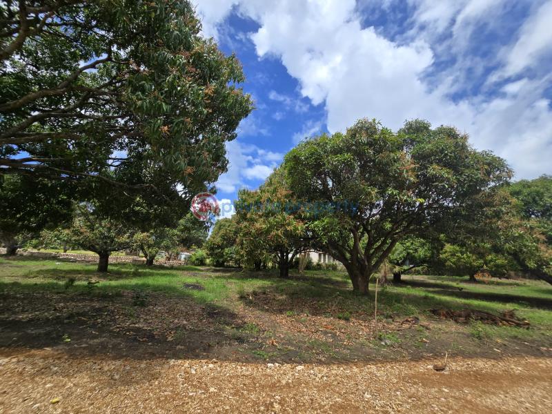 Land For Sale Along Mombasa Malindi Highway Kikambala Mtwapa Kilifi - 23