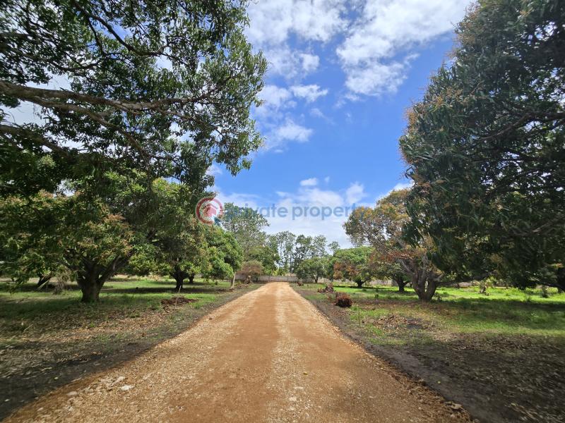 Land For Sale Along Mombasa Malindi Highway Kikambala Mtwapa Kilifi - 11