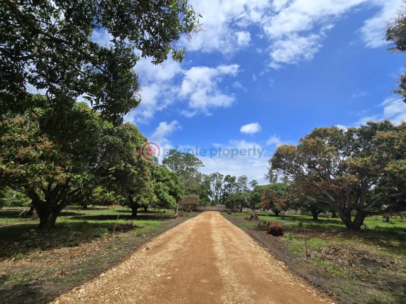 Land For Sale Along Mombasa Malindi Highway Kikambala Mtwapa Kilifi - 4