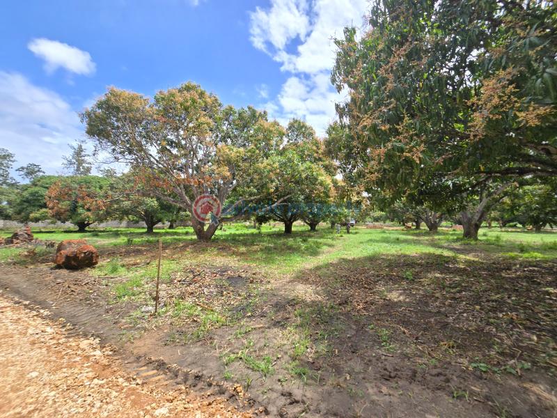 Land For Sale Along Mombasa Malindi Highway Kikambala Mtwapa Kilifi - 20