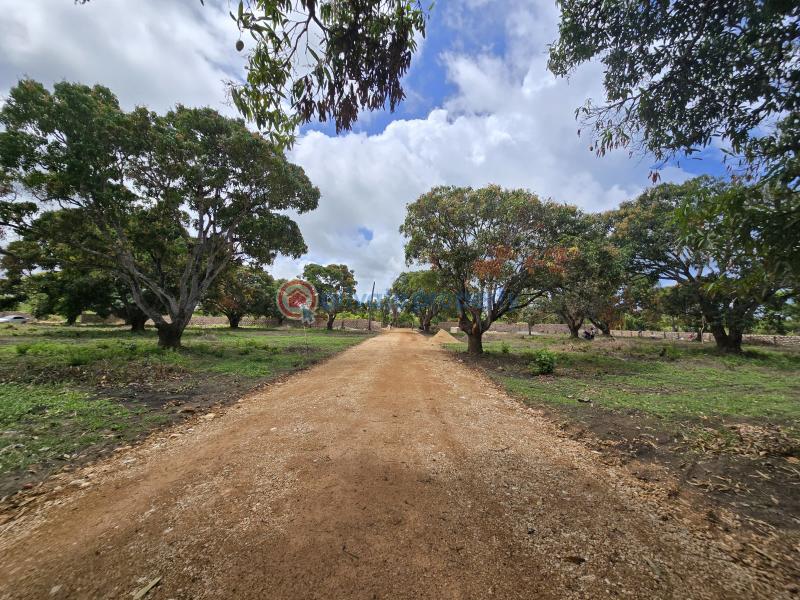 Land For Sale Along Mombasa Malindi Highway Kikambala Mtwapa Kilifi - 9