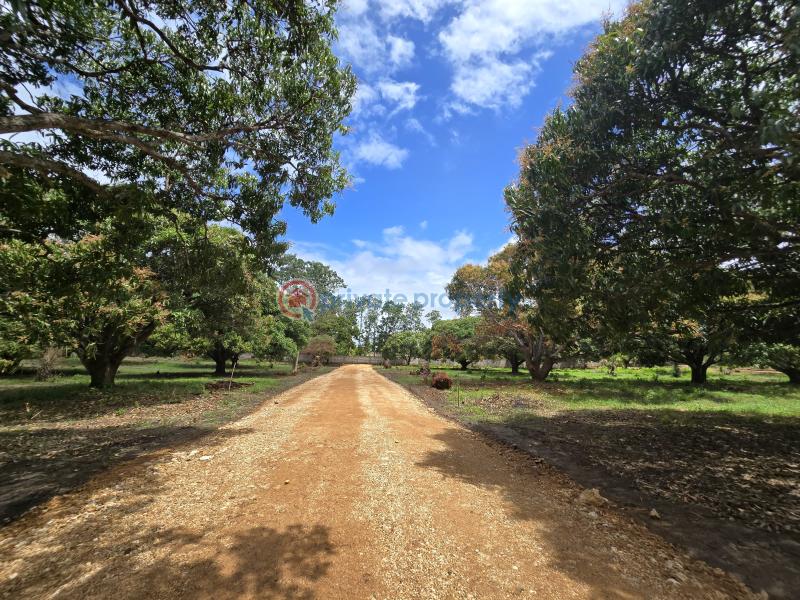 Land For Sale Along Mombasa Malindi Highway Kikambala Mtwapa Kilifi - 6