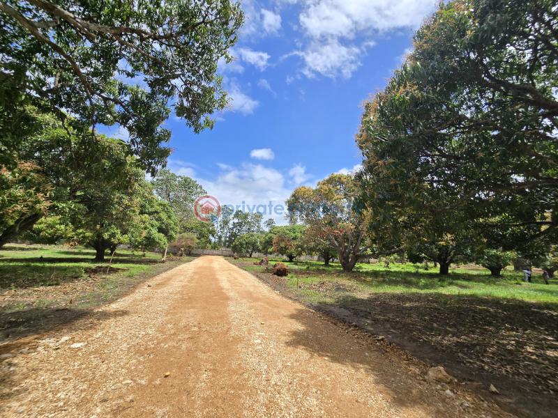Land For Sale Along Mombasa Malindi Highway Kikambala Mtwapa Kilifi - 6