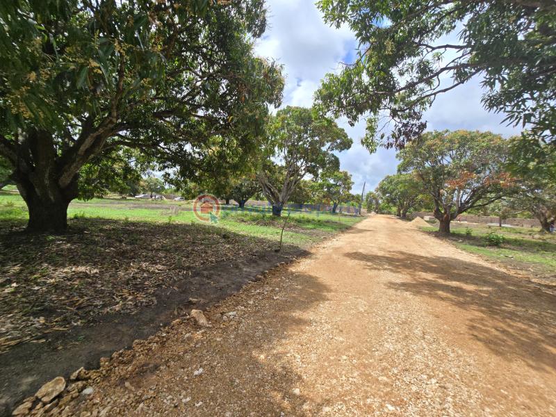 Land For Sale Along Mombasa Malindi Highway Kikambala Mtwapa Kilifi - 17