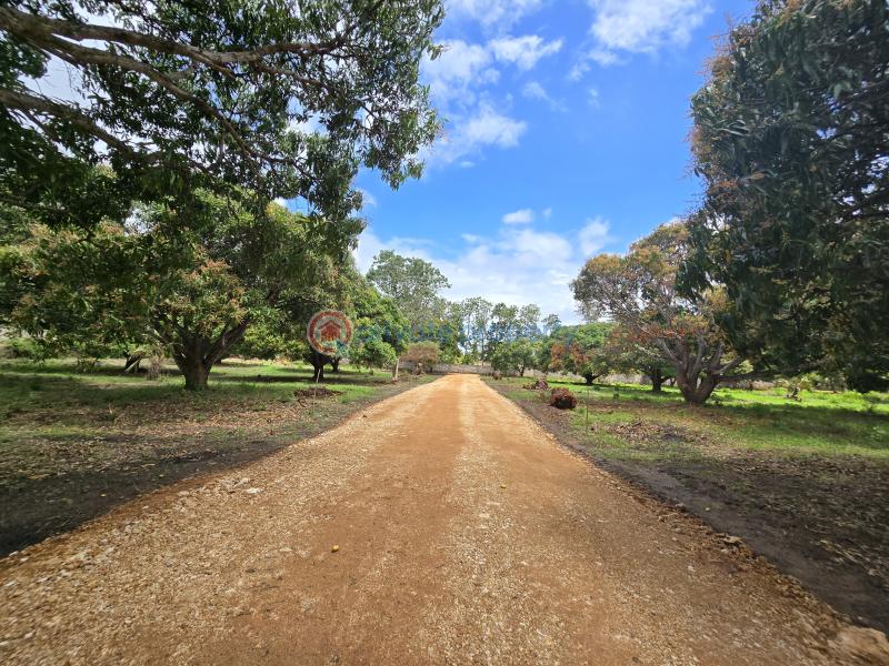 Land For Sale Along Mombasa Malindi Highway Kikambala Mtwapa Kilifi - 12