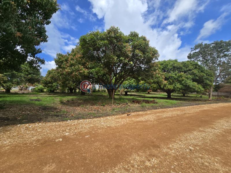 Land For Sale Along Mombasa Malindi Highway Kikambala Mtwapa Kilifi - 21