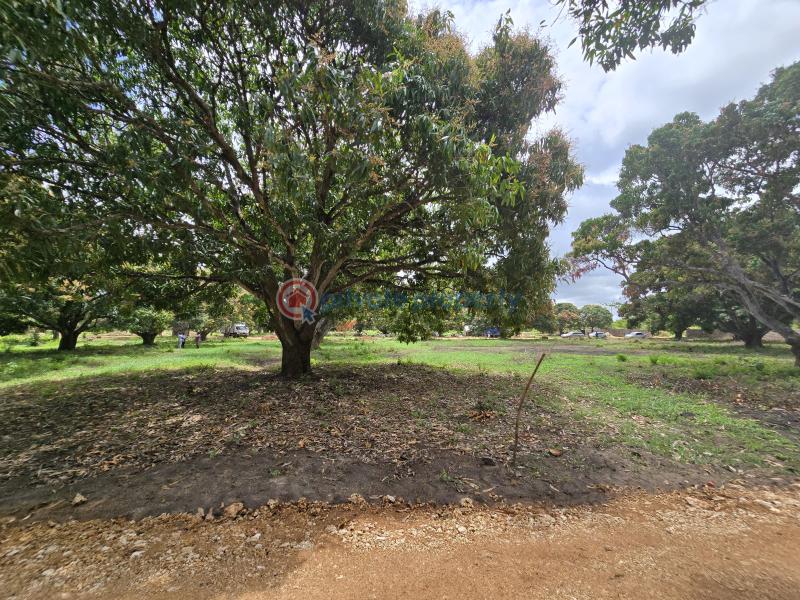 Land For Sale Along Mombasa Malindi Highway Kikambala Mtwapa Kilifi - 14