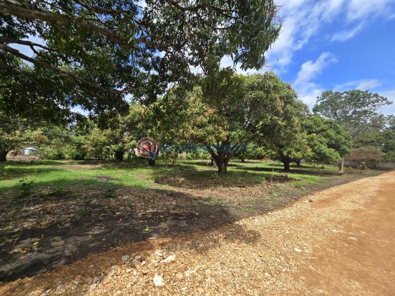 Land For Sale Along Mombasa Malindi Highway Kikambala Mtwapa Kilifi - 3