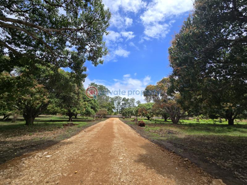 Land For Sale Along Mombasa Malindi Highway Kikambala Mtwapa Kilifi - 13