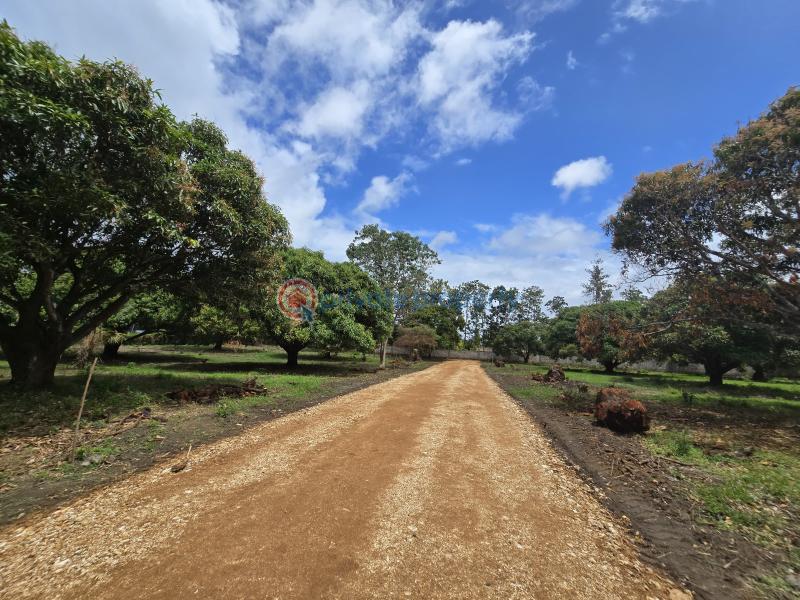 Land For Sale Along Mombasa Malindi Highway Kikambala Mtwapa Kilifi - 1