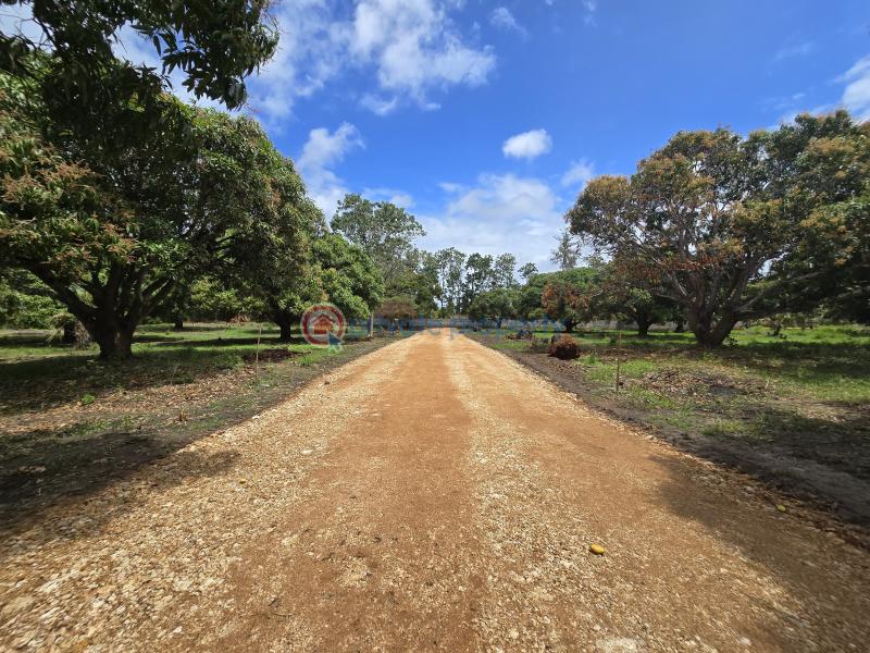 Land For Sale Along Mombasa Malindi Highway Kikambala Mtwapa Kilifi - 18