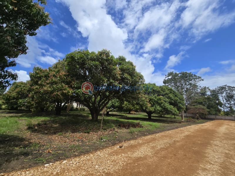 Land For Sale Along Mombasa Malindi Highway Kikambala Mtwapa Kilifi - 19