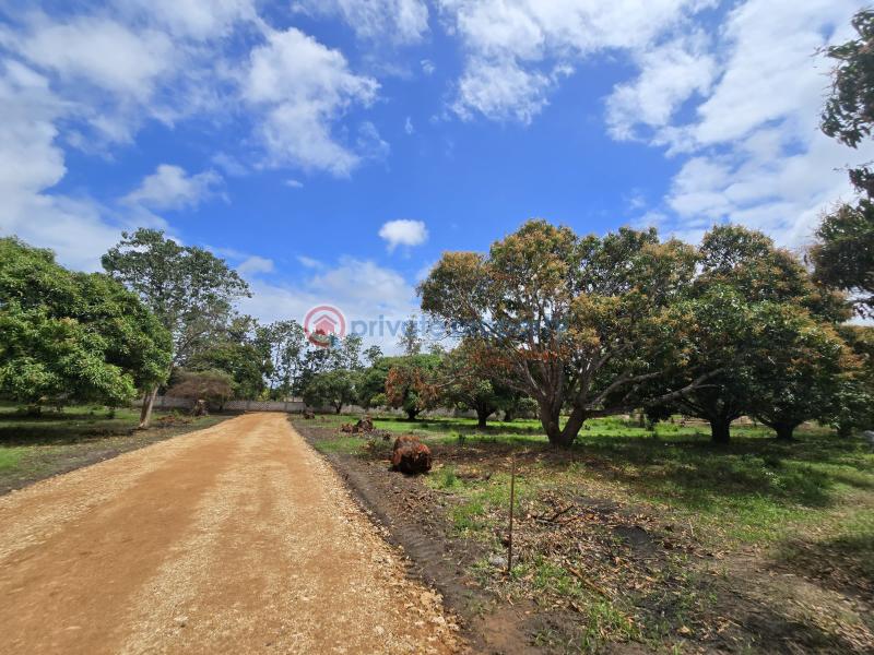 Land For Sale Along Mombasa Malindi Highway Kikambala Mtwapa Kilifi - 0