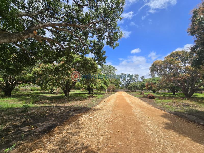 Land For Sale Along Mombasa Malindi Highway Kikambala Mtwapa Kilifi - 16