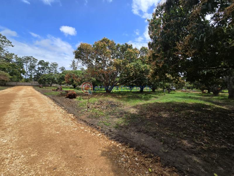 Land For Sale Along Mombasa Malindi Highway Kikambala Mtwapa Kilifi - 22