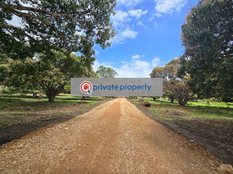 Land For Sale &nbsp;kikambala Along Mombasa Malindi Highway Mtwapa Kilifi - 12