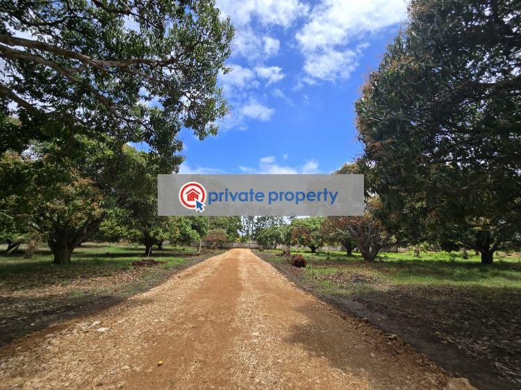 Land For Sale &nbsp;kikambala Along Mombasa Malindi Highway Mtwapa Kilifi - 13
