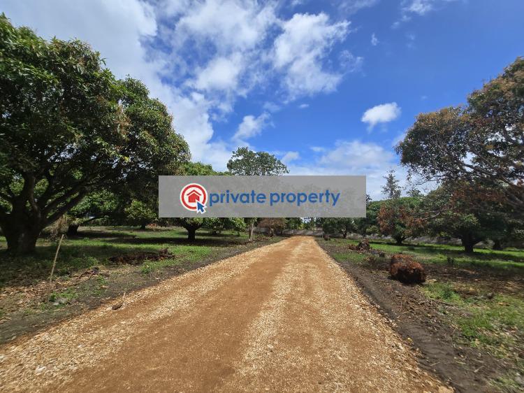 Land For Sale &nbsp;kikambala Along Mombasa Malindi Highway Mtwapa Kilifi - 1