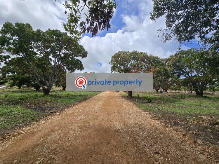 Land For Sale &nbsp;kikambala Along Mombasa Malindi Highway Mtwapa Kilifi - 8